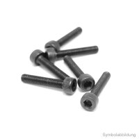 Cap Screw M3x45 (10)
