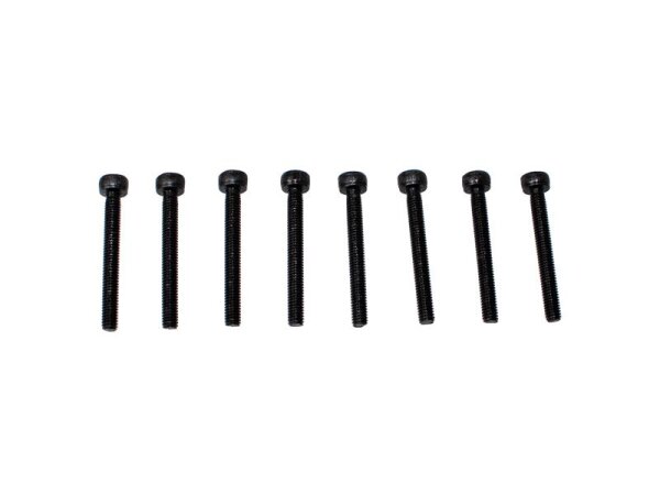 Innensechskantschrauben M3x25 (8)