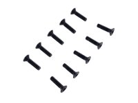 Flat Head Cap Screw M2x8 (10)