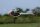 ilGOBLIN PIUMA Xnova Combo with Hobby Wing ESC + Servo Bundle