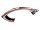 CF Canopy white IL Goblin PIUMA